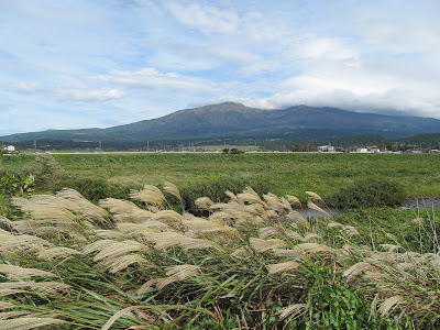 遊佐から見た鳥海山2