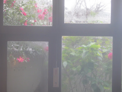 なんぶ屋 温泉から見える椿の花