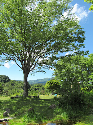 ボタニカルガーデン4