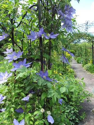 ボタニカルガーデン5