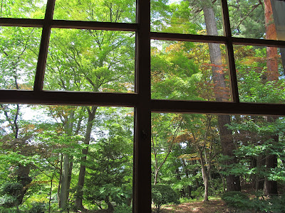 窓外の緑