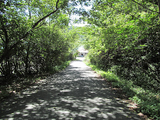 舗装された山道