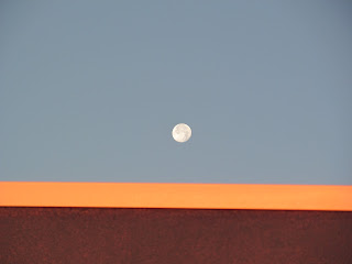 朝の月