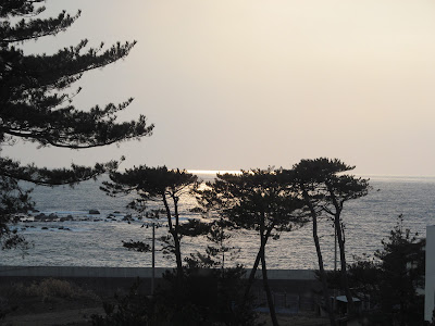 さんねむ温泉の部屋からの眺望